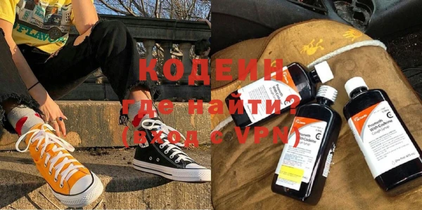 шишки Нязепетровск