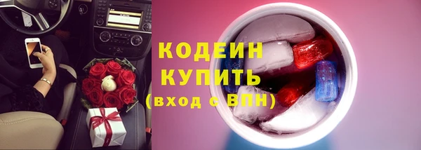 шишки Нязепетровск