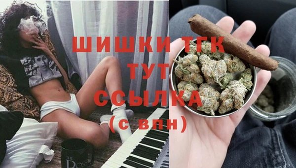 стафф Корсаков
