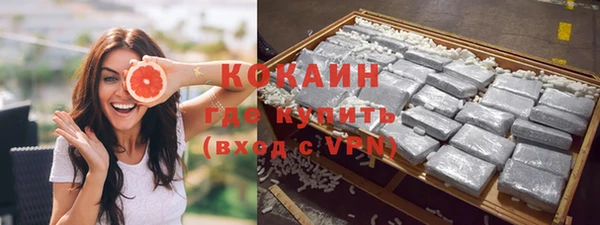 шишки Нязепетровск