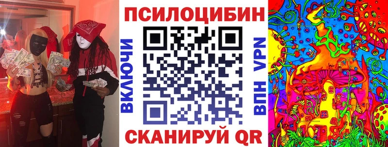где продают   Барабинск  blacksprut ссылка  Псилоцибиновые грибы GOLDEN TEACHER 