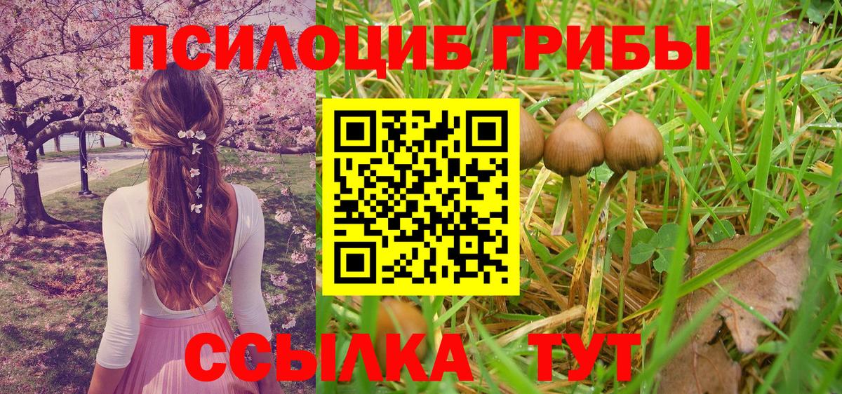 Галлюциногенные грибы GOLDEN TEACHER  Барабинск 