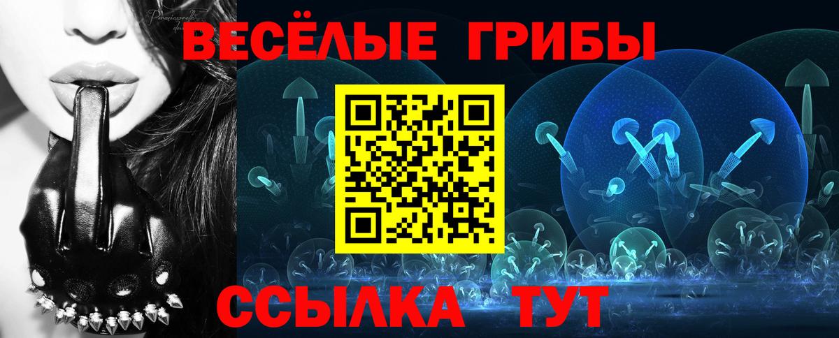 Барабинск  Галлюциногенные грибы Cubensis  Вход с VPN 